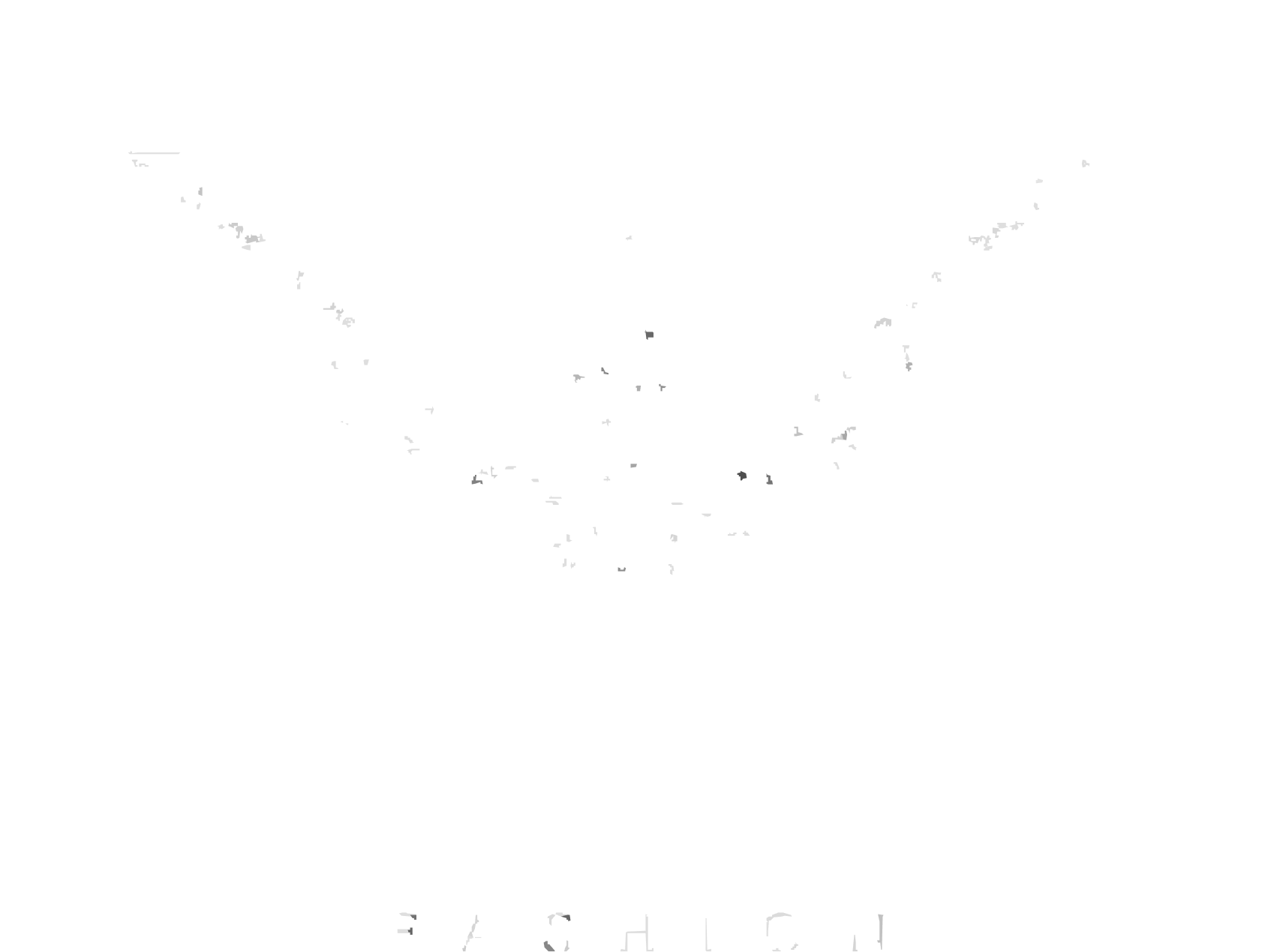 Black Diamonds Fashion